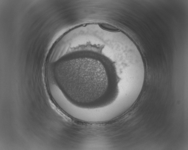 X0000076400958200611031718