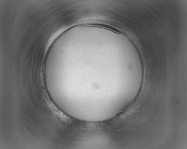 X0000076400960200611031718