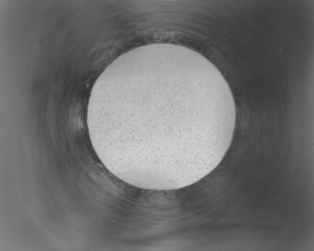 X0000076400962200611031717