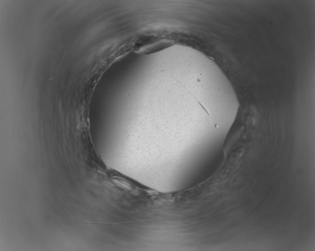 X0000076400965200611031717