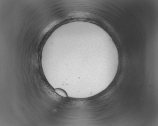 X0000076400970200611031717