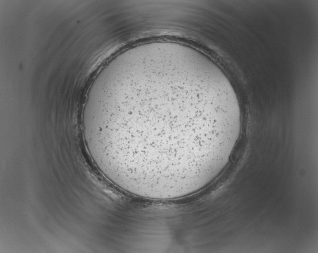 X0000076400977200611031717