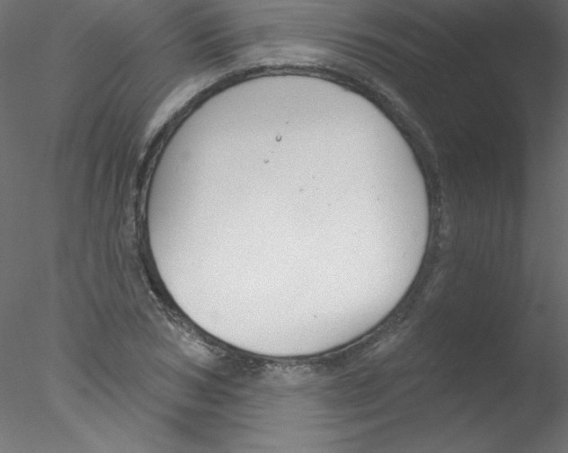 X0000076400978200611031717