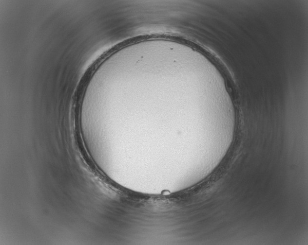 X0000076400983200611031717