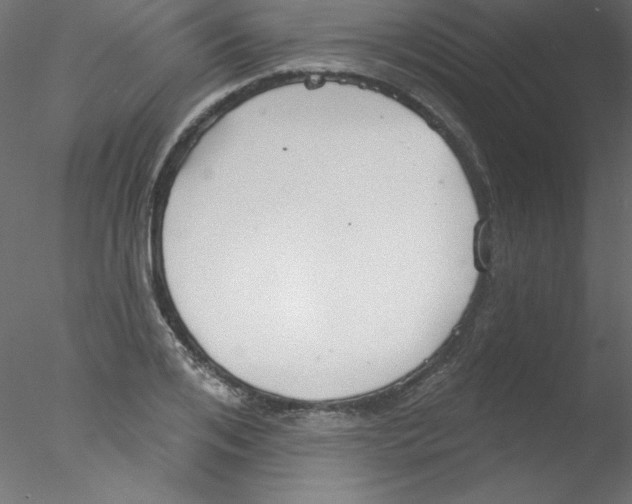 X0000076400984200611031717