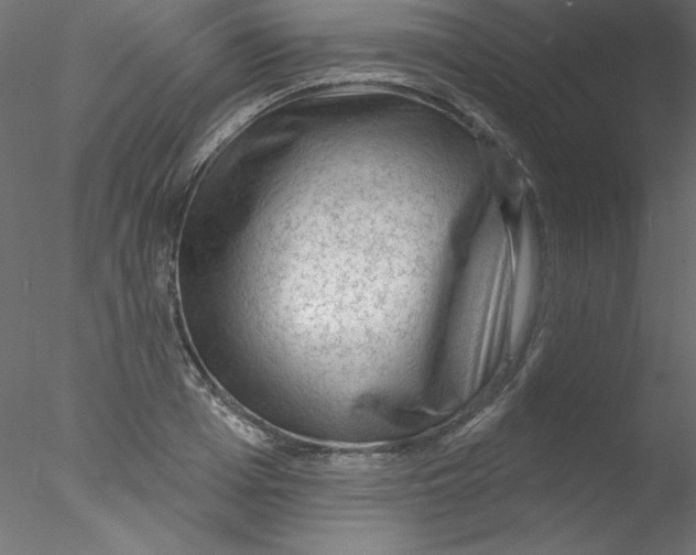 X0000076400985200611031717