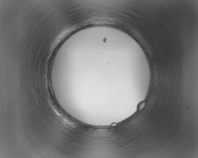 X0000076400986200611031717