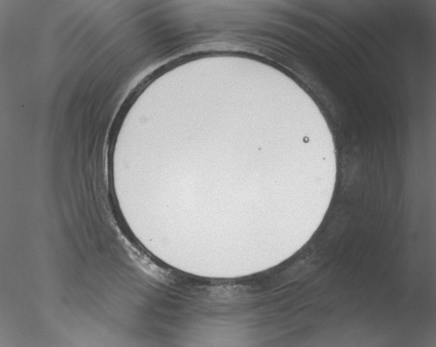 X0000076400988200611031717