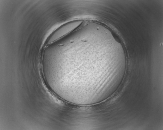 X0000076400989200611031717