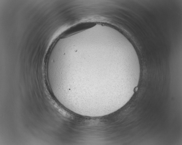 X0000076400990200611031717