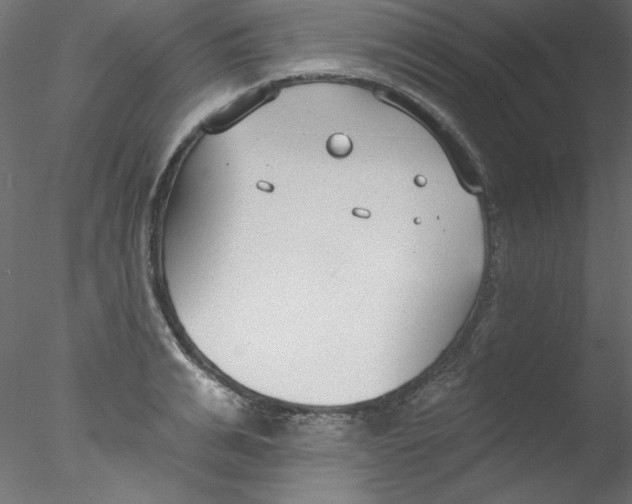 X0000076400991200611031717