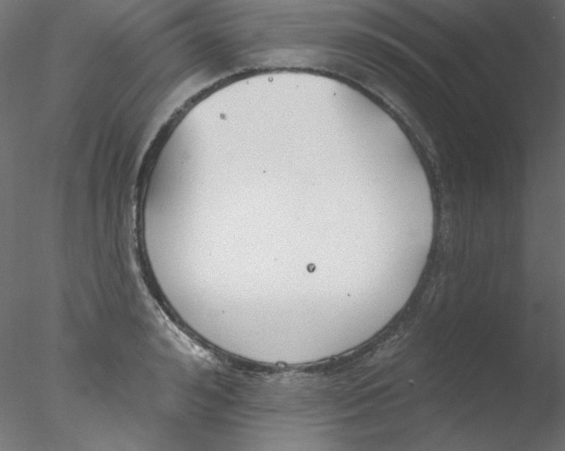 X0000076400992200611031717