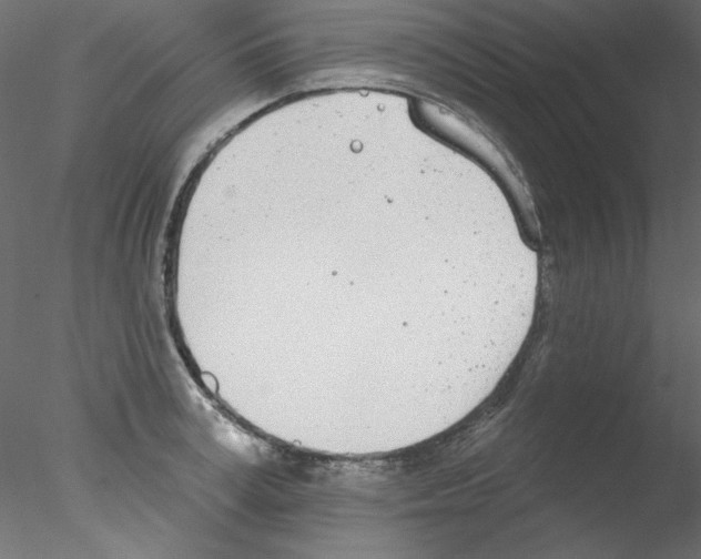 X0000076400995200611031717