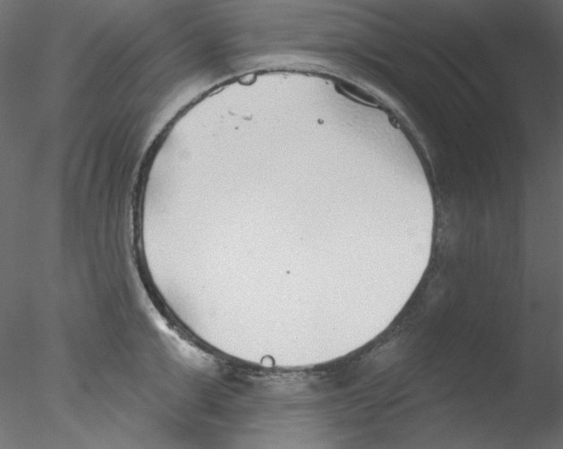 X0000076400999200611031717