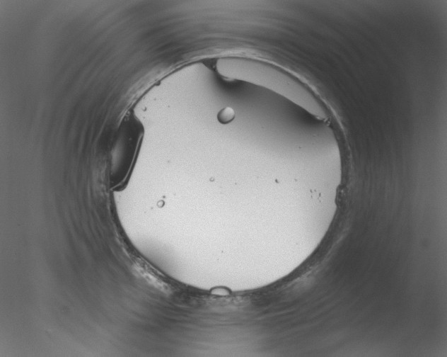 X0000076401001200611031717