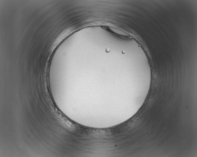 X0000076401002200611031717