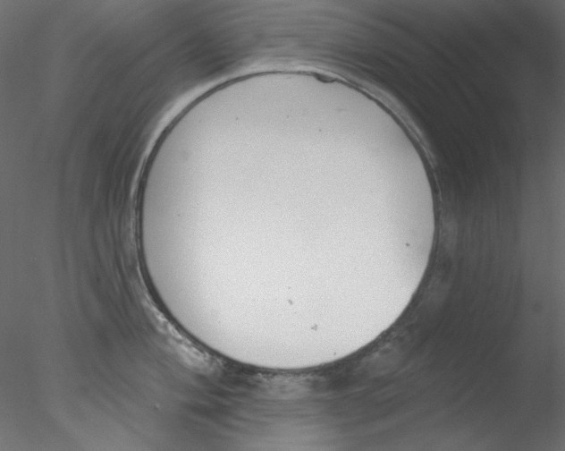 X0000076401004200611031717