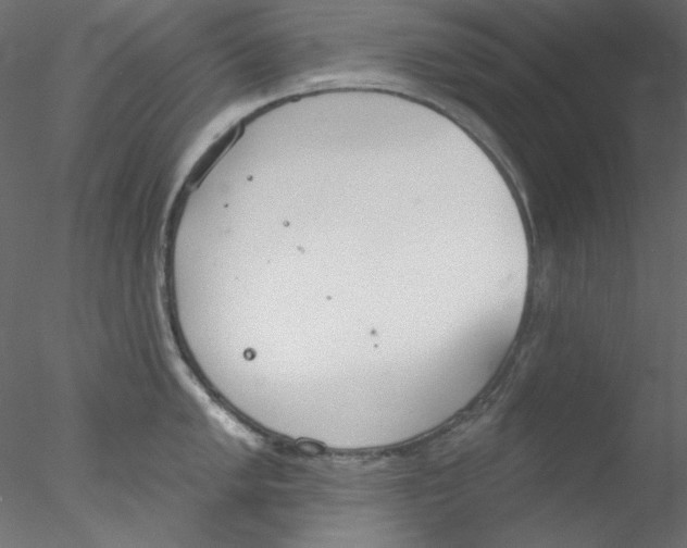 X0000076401005200611031717