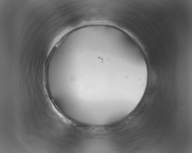 X0000076401006200611031717