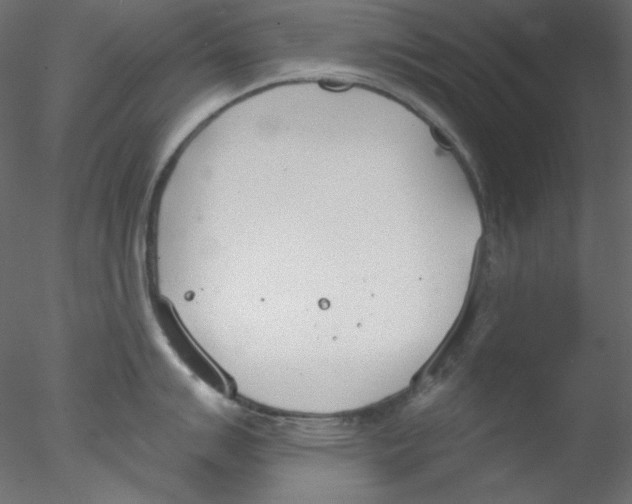 X0000076401007200611031717