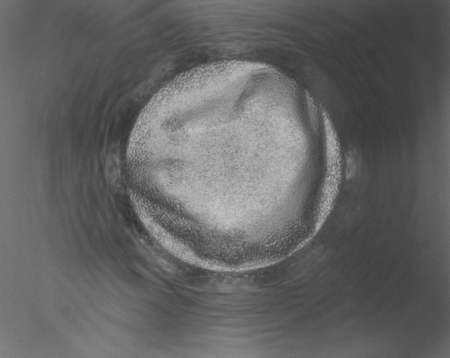 X0000076401011200611031716