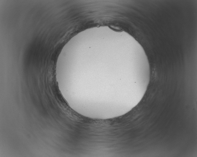 X0000076401012200611031716