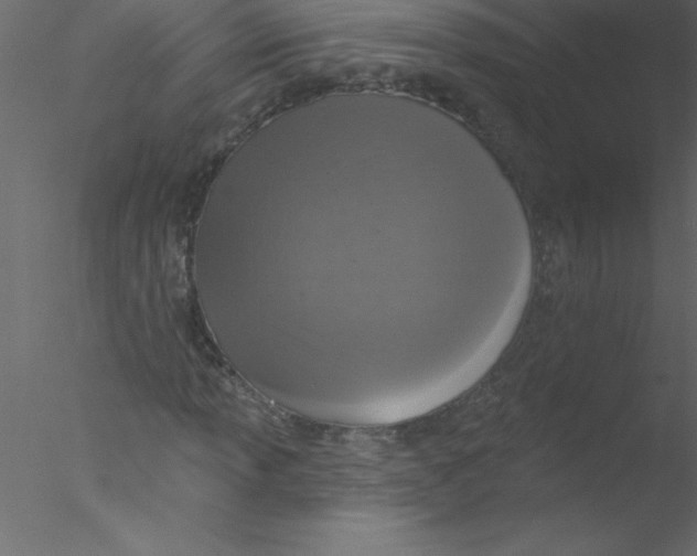 X0000076401013200611031716