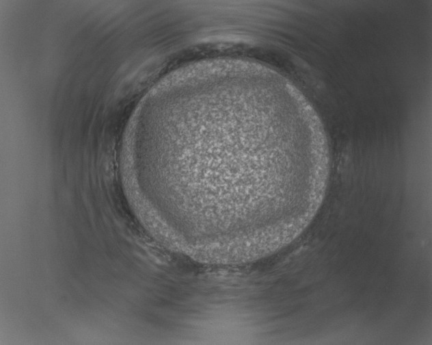 X0000076401014200611031716