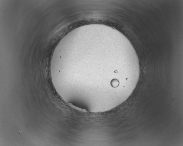 X0000076401015200611031716