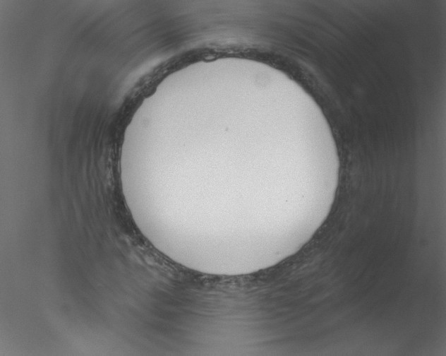 X0000076401016200611031716