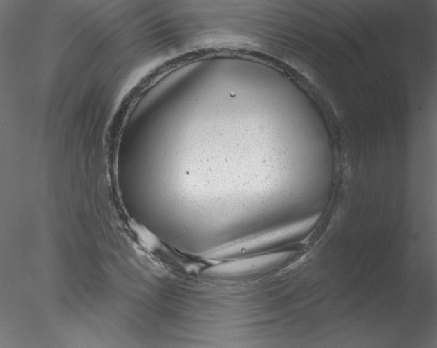 X0000076401022200611031716