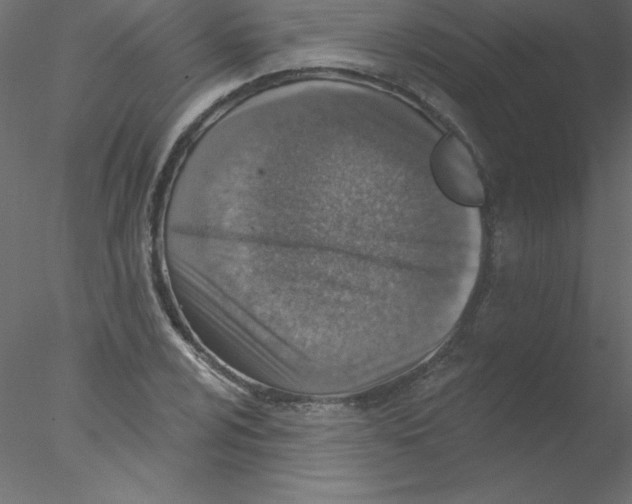 X0000076401024200611031716