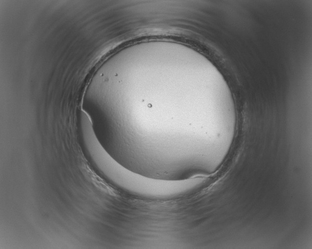 X0000076401025200611031716