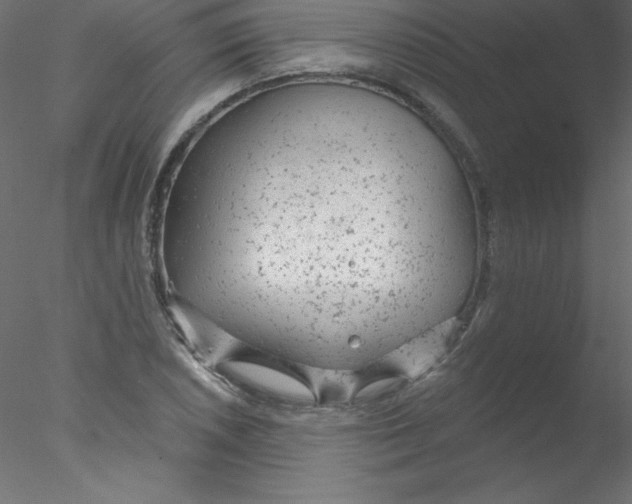 X0000076401026200611031716