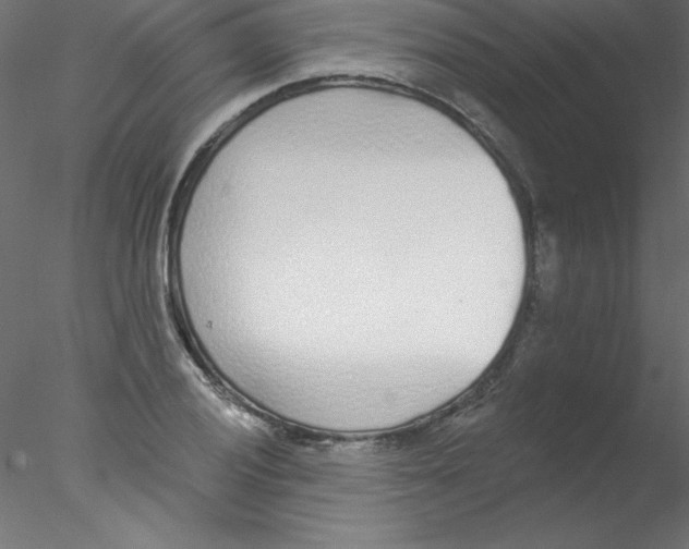 X0000076401028200611031716