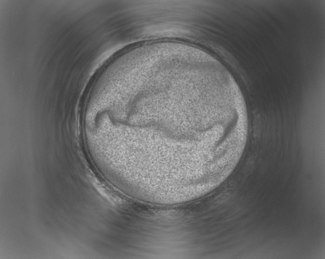 X0000076401031200611031716