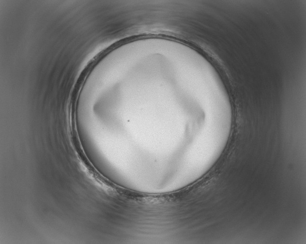 X0000076401032200611031716