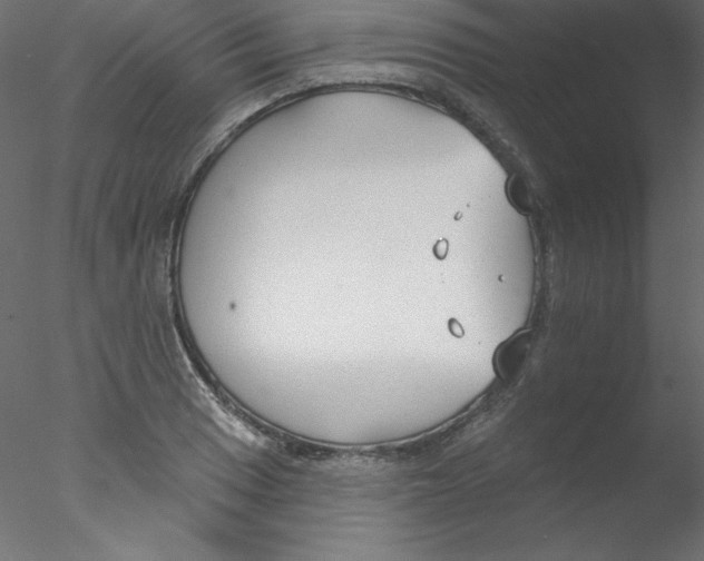 X0000076401033200611031716