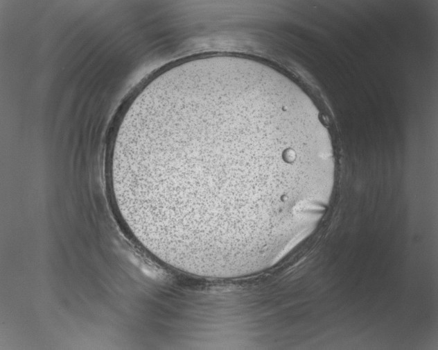 X0000076401035200611031716