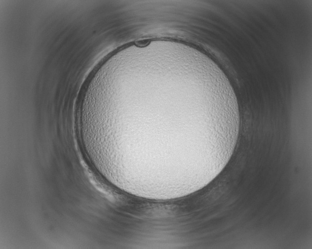 X0000076401039200611031716