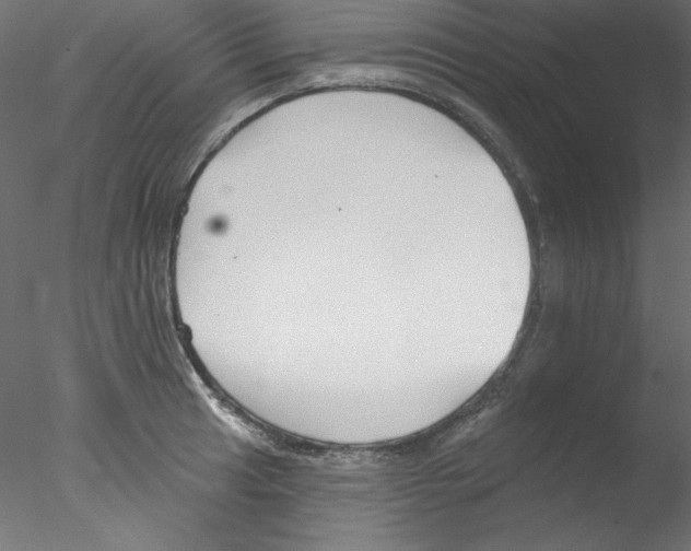 X0000076401041200611031716