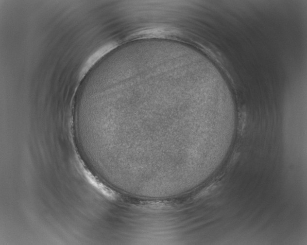 X0000076401042200611031716