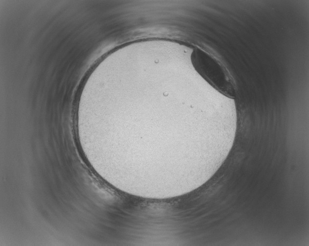 X0000076401043200611031716