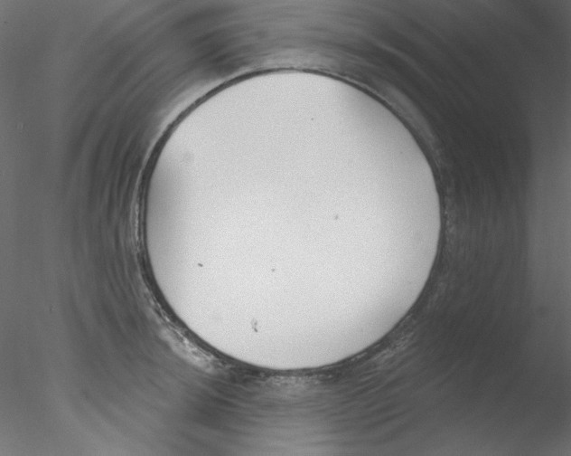 X0000076401044200611031716