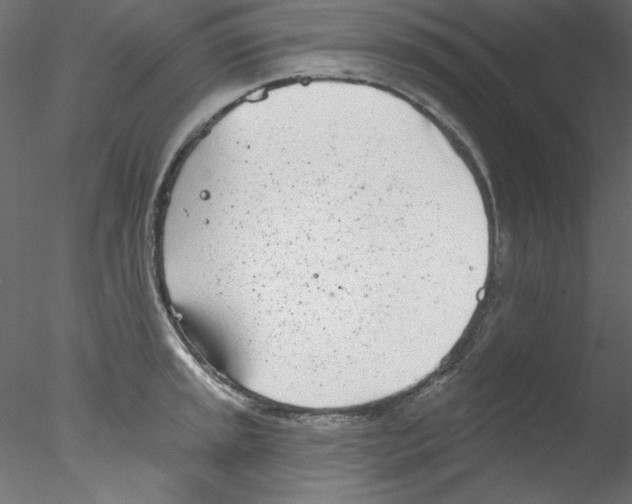 X0000076401045200611031717