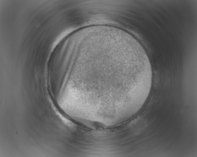 X0000076401046200611031717