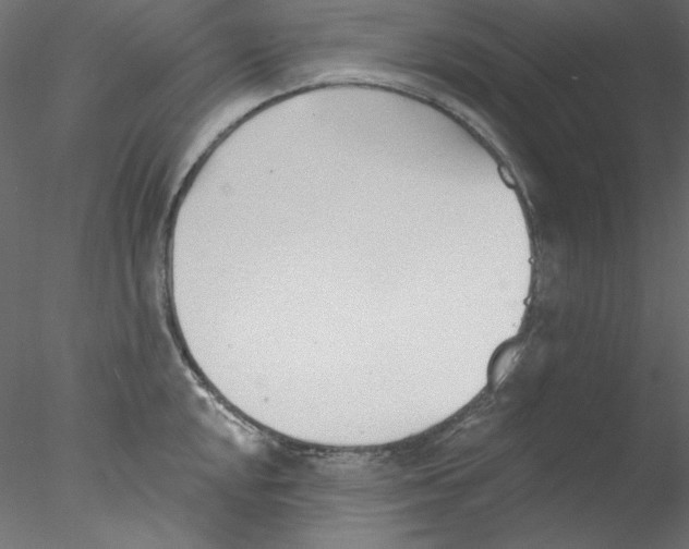 X0000076401048200611031717