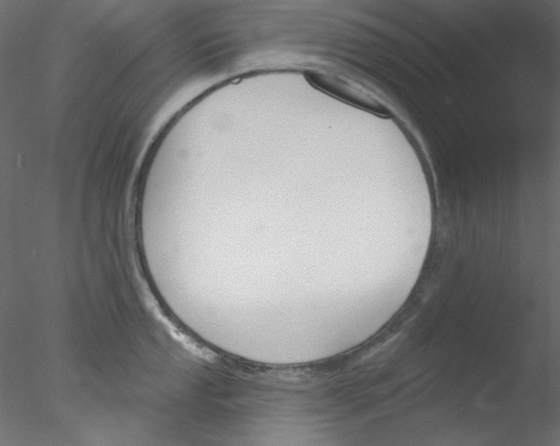 X0000076401053200611031717