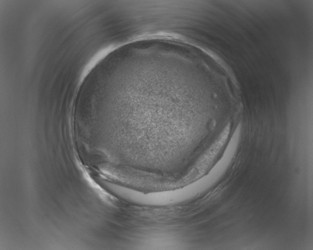 X0000076401054200611031717