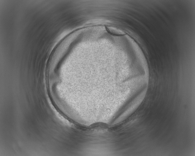 X0000076401055200611031717